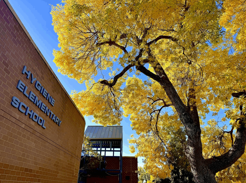 A large tree with bright yellow leaves next to the brick building of Hygiene Elementary School against a blue sky.